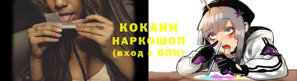 дживик Абинск