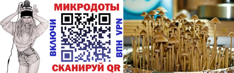 Галлюциногенные грибы Psilocybine cubensis Инза